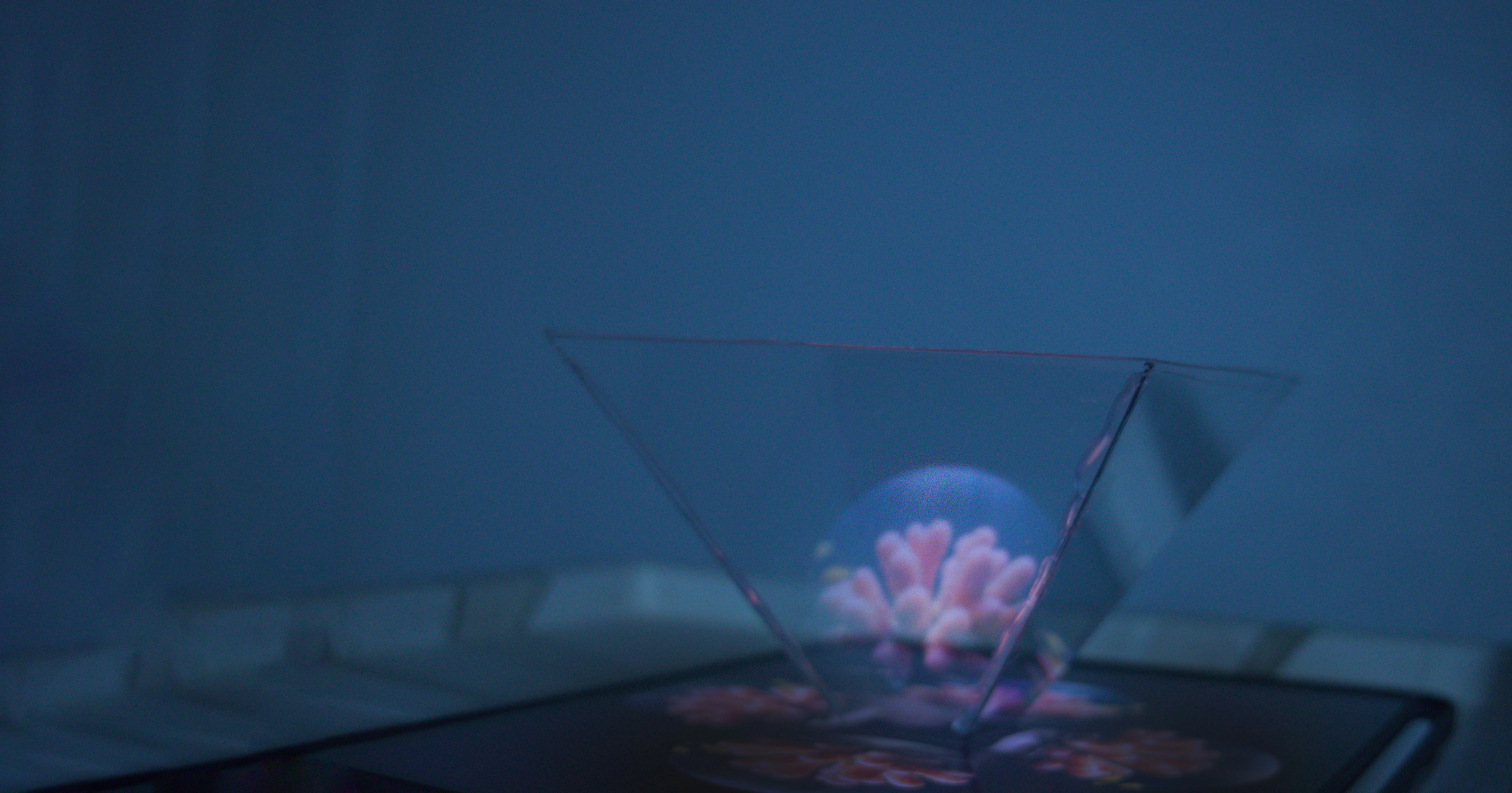 Fading Colors — Multi-sensory XR Installation