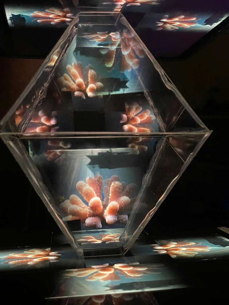 Hologram process