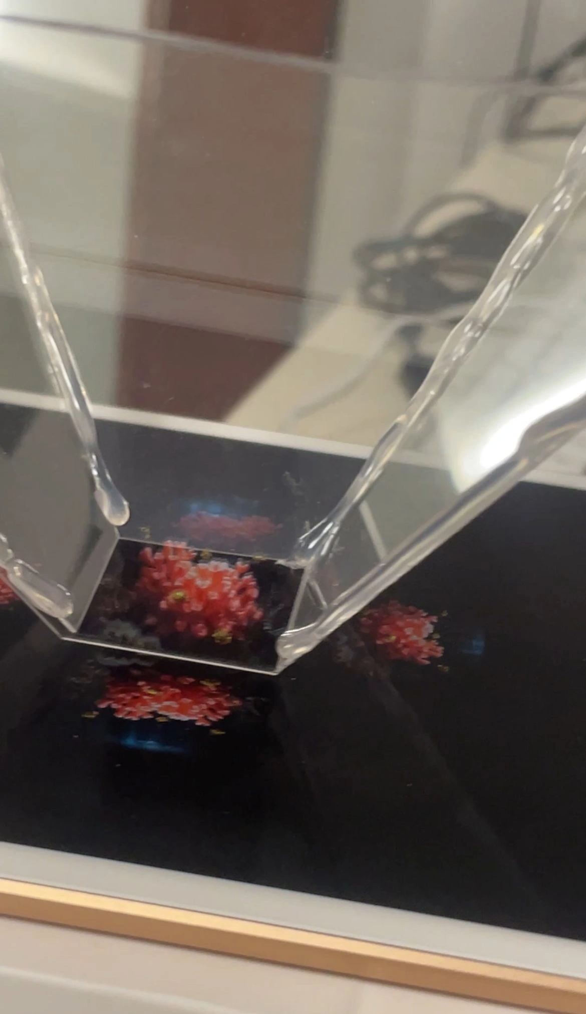 Hologram experimentation